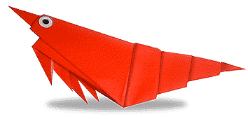 Hướng dẫn gấp Tôm - Gấp giấy Origami