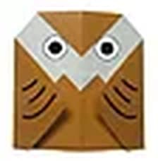 Hướng dẫn gấp Cú mèo - Gấp giấy Origami