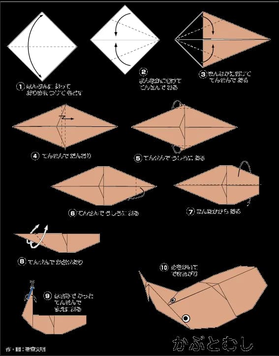 Hướng dẫn gấp Bọ cánh cứng - Gấp giấy Origami
