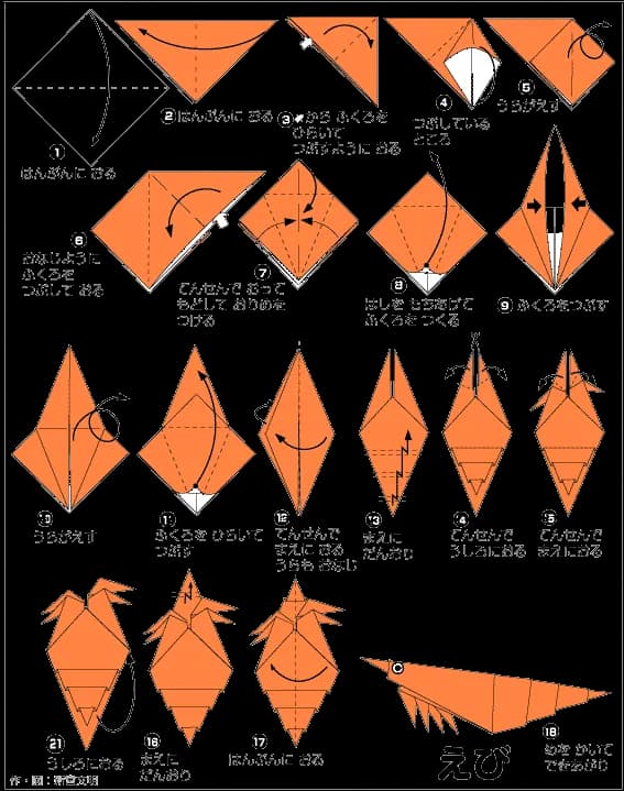Hình ảnh hướng dẫn cách gấp con tôm - Gấp giấy Origami