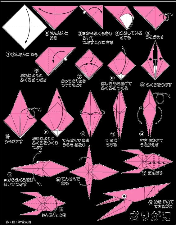Hình ảnh hướng dẫn cách gấp tôm hùm - Gấp giấy Origami