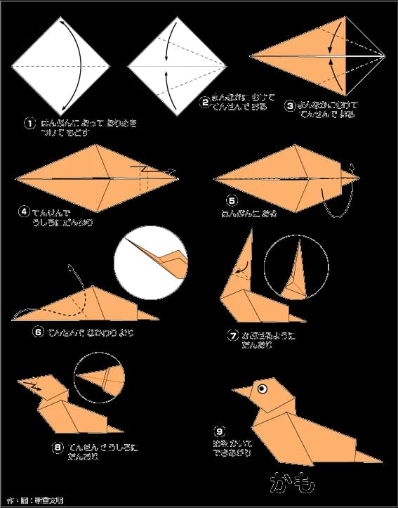 Hướng dẫn gấp Vịt - Gấp giấy Origami
