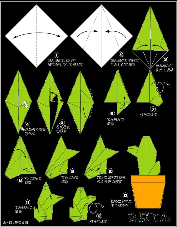 Hướng dẫn gấp Xương rồng - Gấp giấy Origami