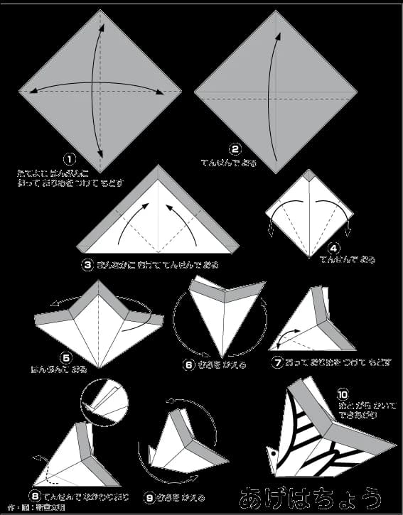 Hướng dẫn gấp Bướm đen - Gấp giấy Origami