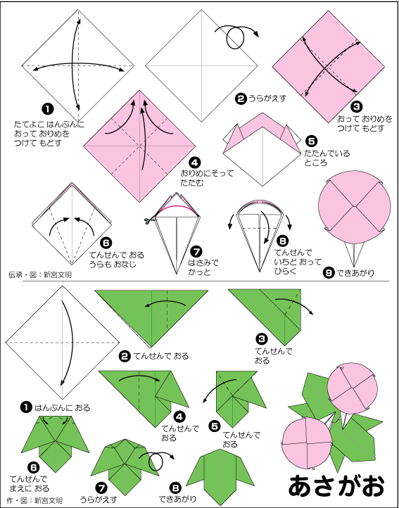 hình ảnh hướng dẫn cách gấp giấy hoa bìm bìm