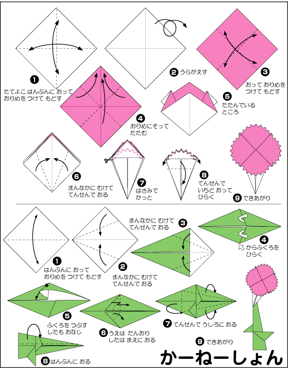 hình ảnh hướng dẫn cách gấp hoa cẩm chướng