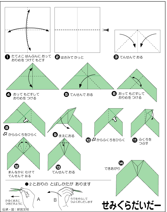 hình ảnh hướng dẫn cách gấp tàu lượn