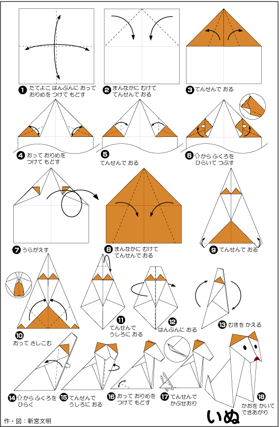 hình ảnh hướng dẫn cách gấp chó con