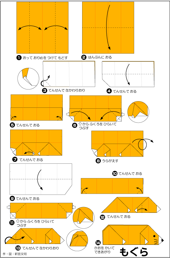 hình ảnh hướng dẫn cách gấp hải cẩu con